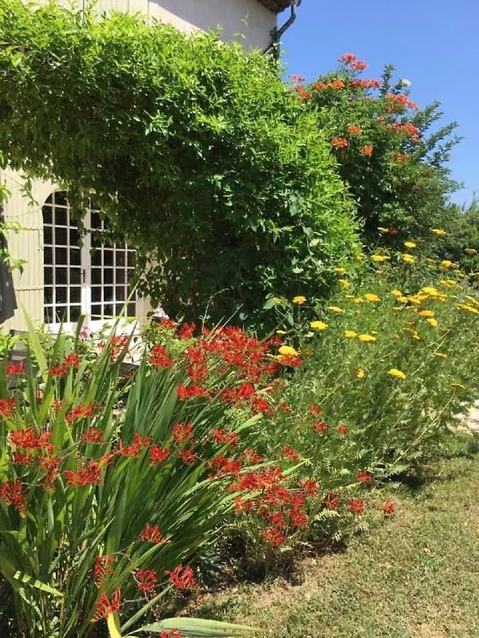 Bed & Breakfast Le Mas De La Marteliere Le Thor France